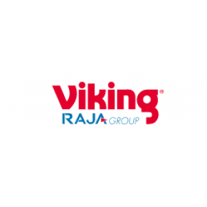 Viking IE logo